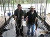 (06/16/2015) - Nice Striped Bass
